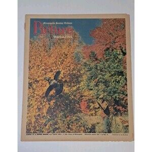 Picture Magazine Minneapolis Sunday Tribune 10/2/1955 Leslie Kouba Waterfowl